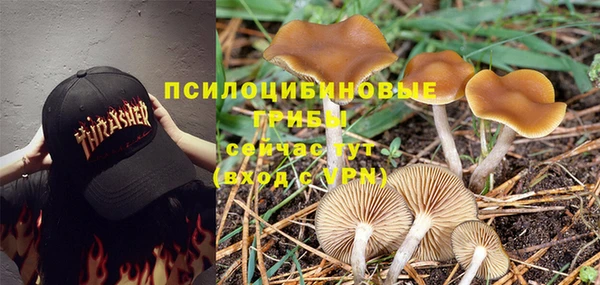 PSILOCYBIN Арсеньев